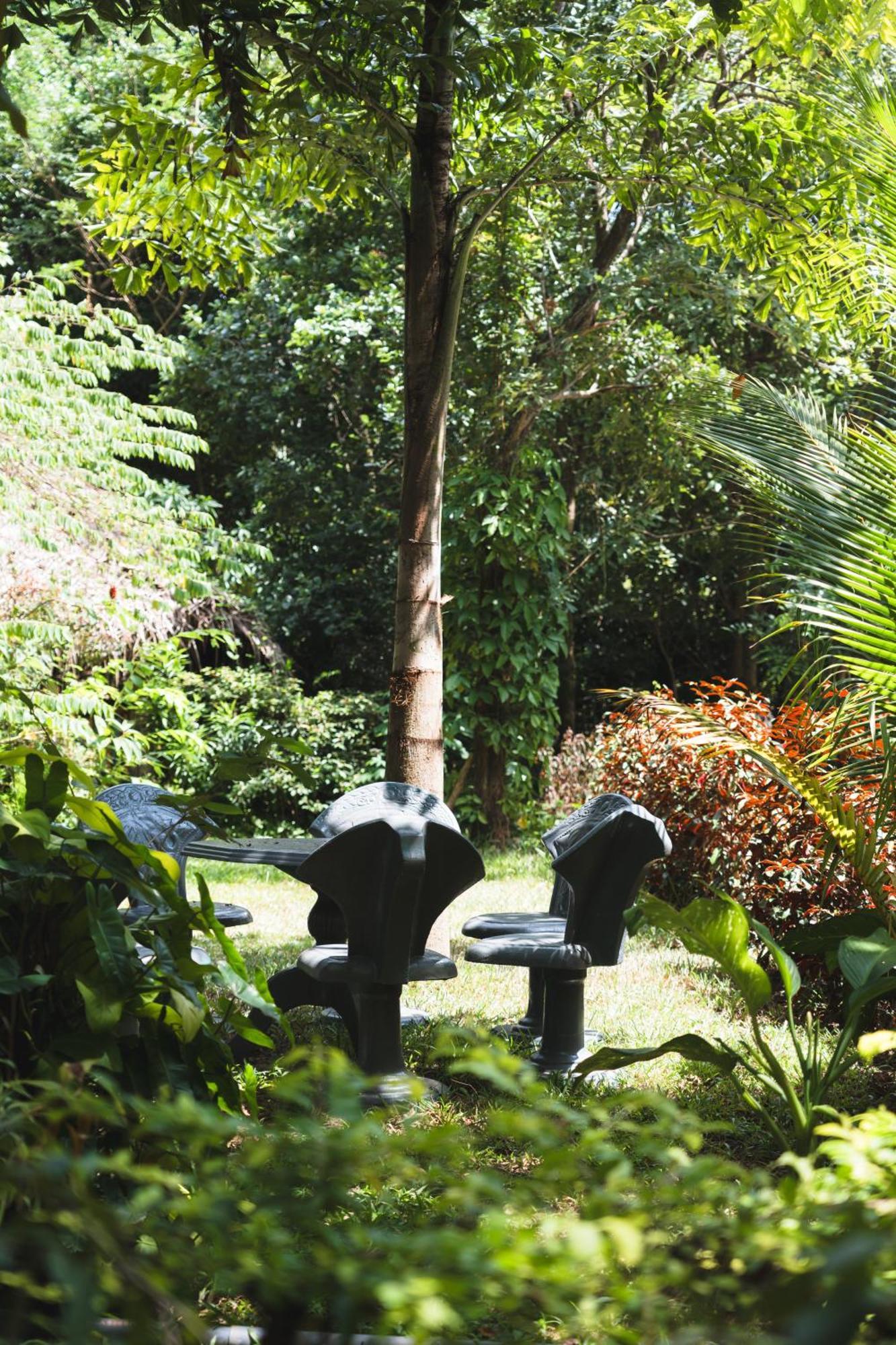 Sundaras Infinity Jungle Resort Dambulla Kültér fotó